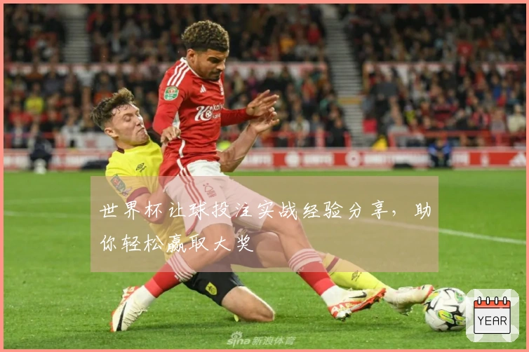 世界杯让球投注实战经验分享，助你轻松赢取大奖