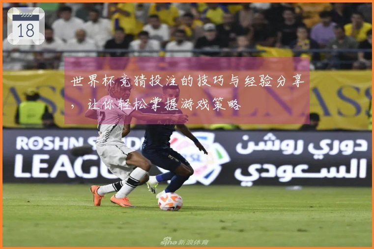世界杯竞猜投注的技巧与经验分享，让你轻松掌握游戏策略