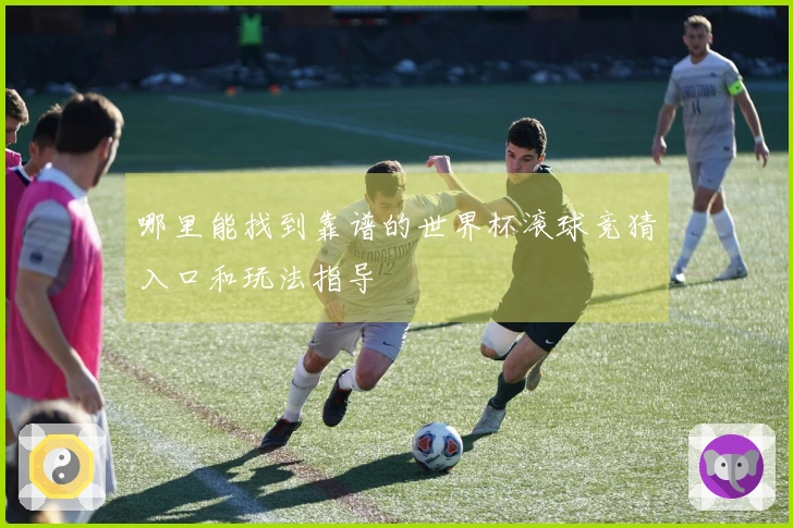 哪里能找到靠谱的世界杯滚球竞猜入口和玩法指导