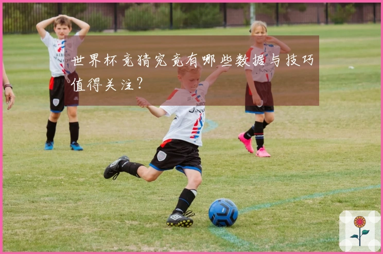 世界杯竞猜究竟有哪些数据与技巧值得关注？