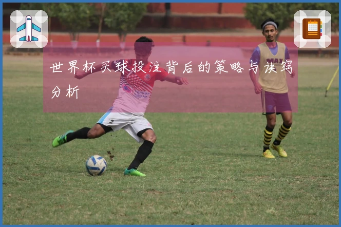 世界杯买球投注背后的策略与诀窍分析