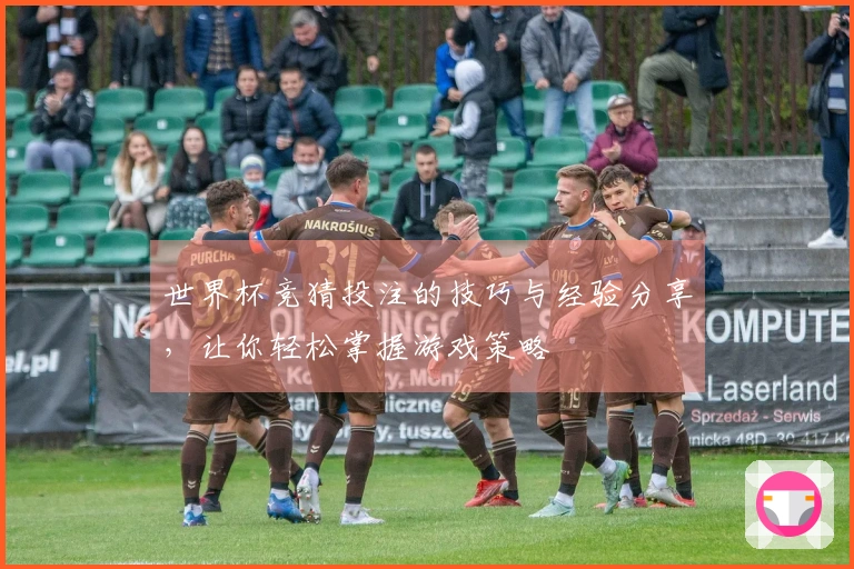 世界杯竞猜投注的技巧与经验分享，让你轻松掌握游戏策略